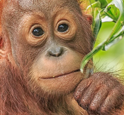 WE CARE ABOUT THE WELL-BEING OF ALL BEINGS.